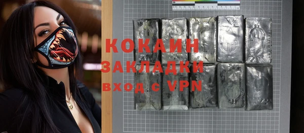 трава Инта