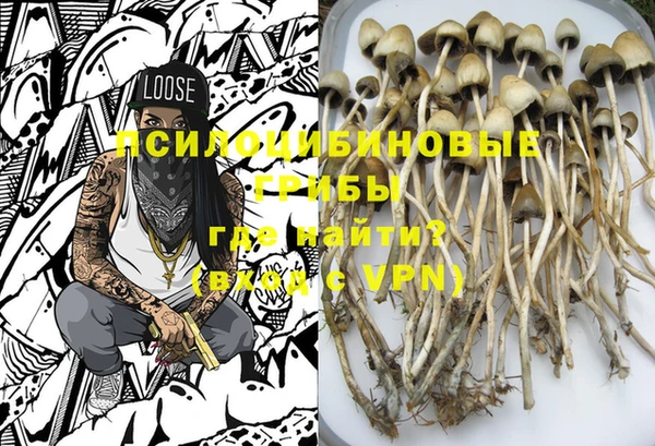 ешки Абаза
