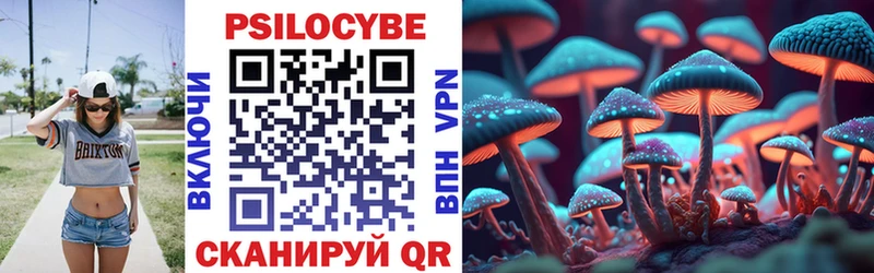 Псилоцибиновые грибы MAGIC MUSHROOMS  Сурск 