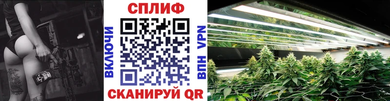 МАРИХУАНА Amnesia  где продают   Сурск 